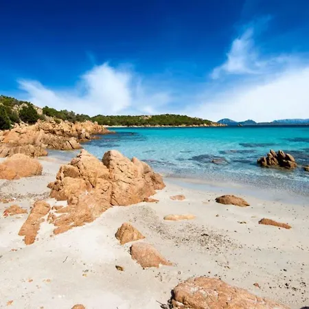 Elegant Three In Apartamento